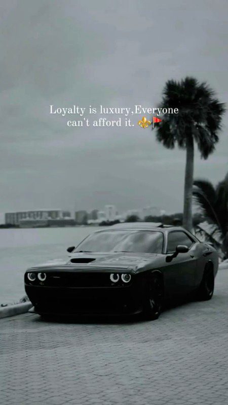 Absolutely right now