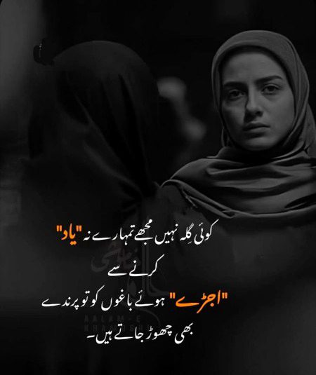 Sad Poetry image