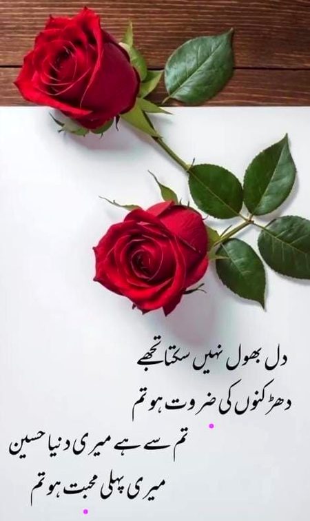 Blkl Saanaam❣️❣️