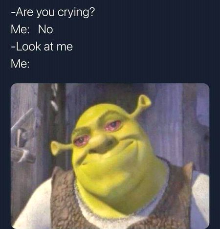 Memes & Satire image