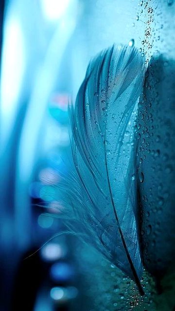 Beautiful Nature image