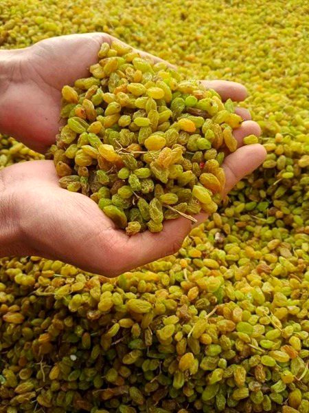 Beautiful Nature image