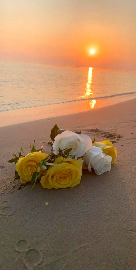 Beautiful Nature image