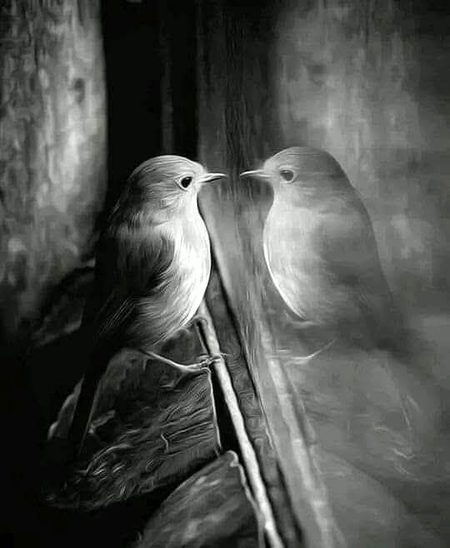 ناکام تمنا دل اس سوچ میں رہتا ہے
یوں ہوتا تو کیا ہوتا یوں ہوتا تو کیا ہوتا
🖤