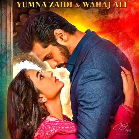 Pakistani Celebs image