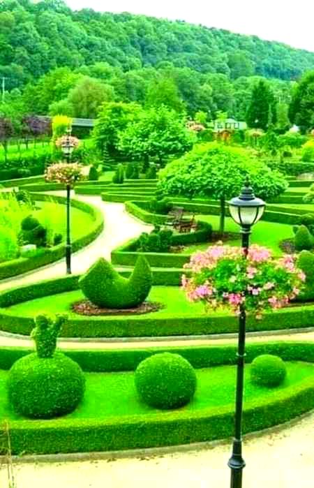 Beautiful Nature image