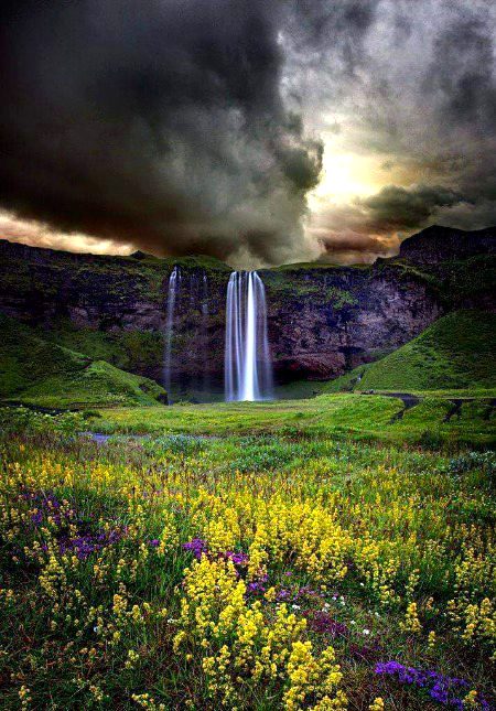 Beautiful Nature image