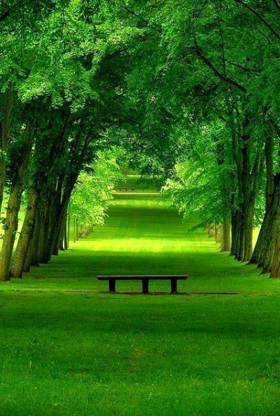 Beautiful Nature image