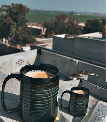 چائے نہ ہو تو خیال بھی بگڑ جاتے ہیں،
لفظ ماند پڑ جاتے ہیں، خواب اُلجھ جاتے ہیں