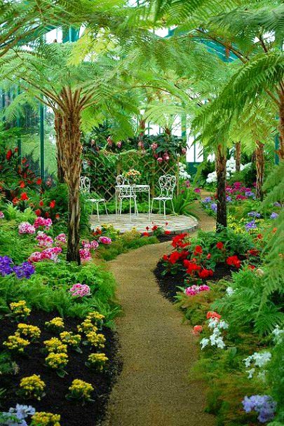Beautiful Nature image