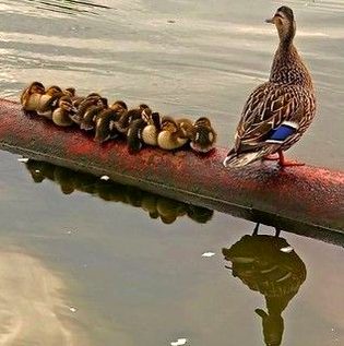 Beautiful Nature image