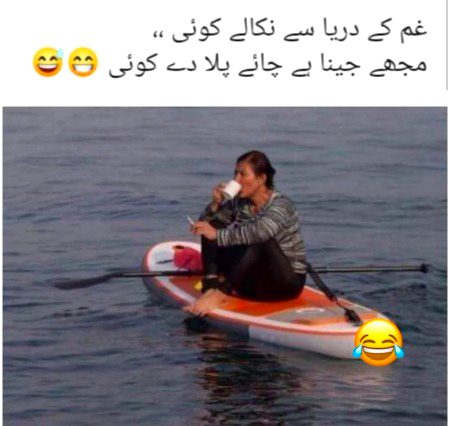 Memes & Satire image