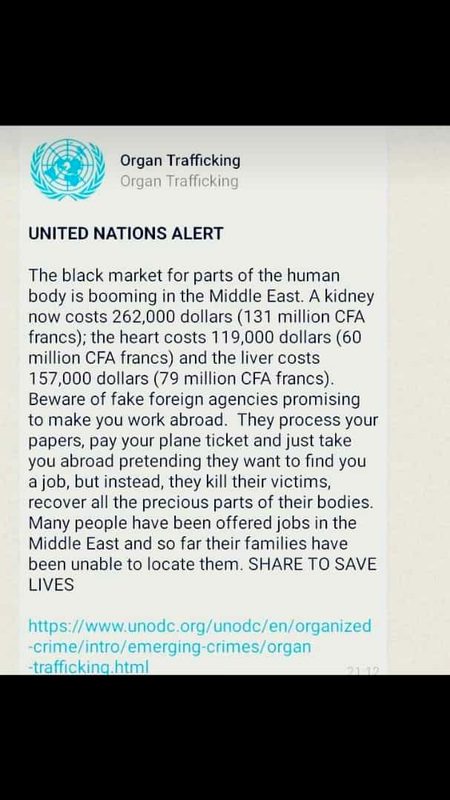ALERT ⚠️ ⚠️ ⚠️