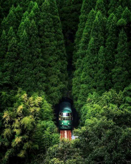 Beautiful Nature image