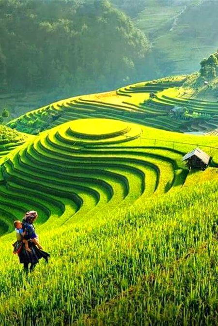 Beautiful Nature image