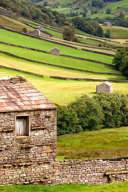 Heart Of The Dales, Yorkshire Dales, England