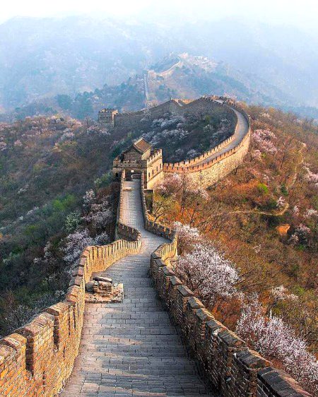 Beautiful Structures image