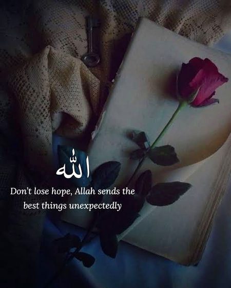 Islamic Quotes image