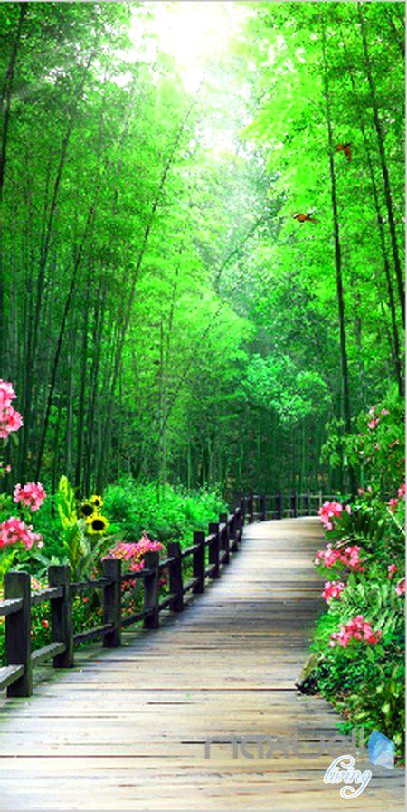 Beautiful Nature image