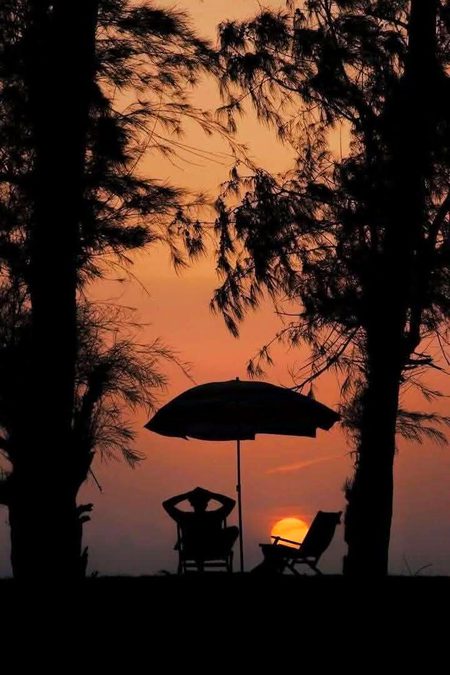 Beautiful Nature image