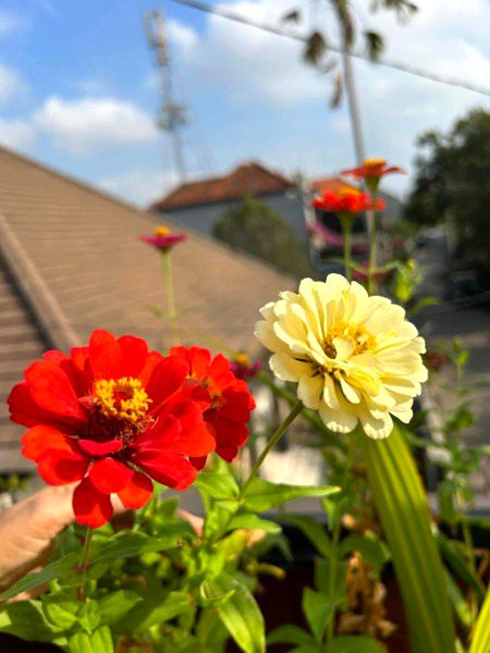 Beautiful Nature image