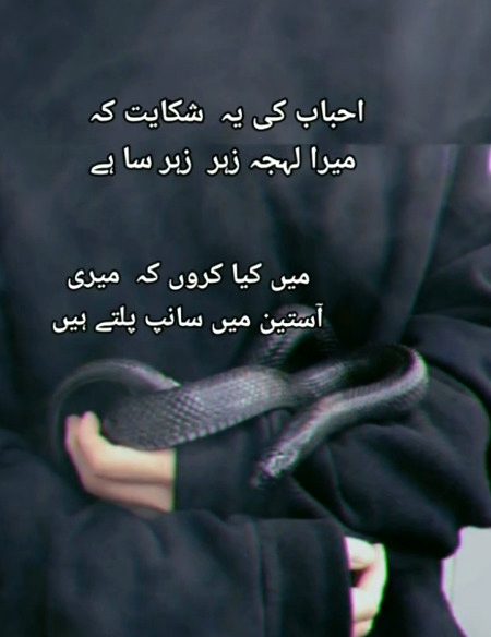 Mry ass pass bhi kch esy hn sanp 🪱🪱🪱mery apno ki soorat m