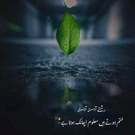 دلائل دے!  کہ  ہم  باتوں سے قائل ہی نہیں ہوتے 
دکھا سیرت فقط صورت سے مائل ہی نہیں ہوتے❣️