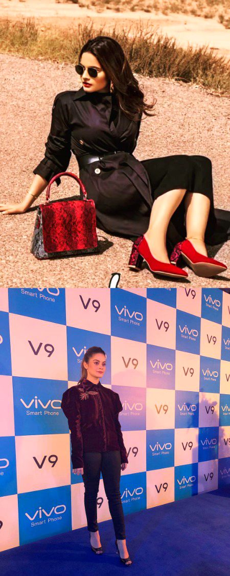 Pakistani Celebs image