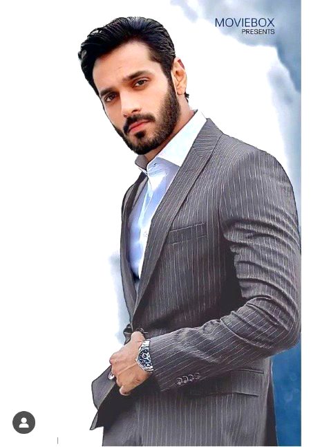 Pakistani Celebs image