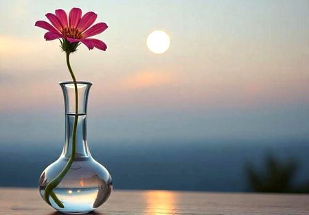 Beautiful Nature image