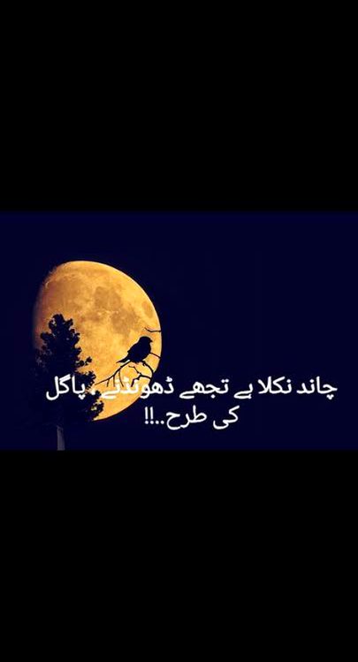 🍁Zoq_Shab🍁