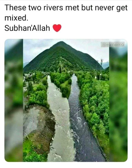 Beautiful Nature image