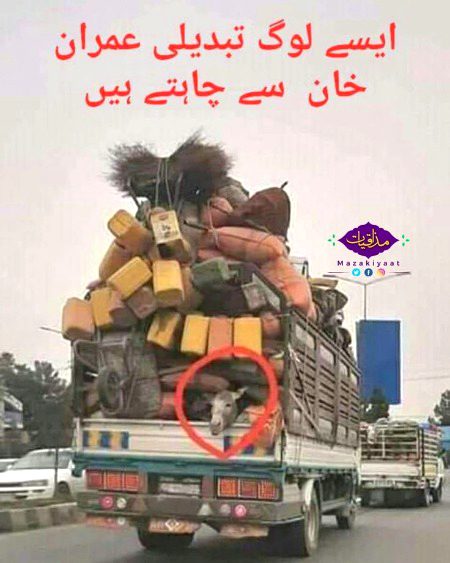 Memes & Satire image