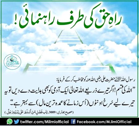 Islamic Quotes image