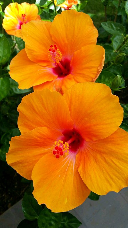 Beautiful Nature image