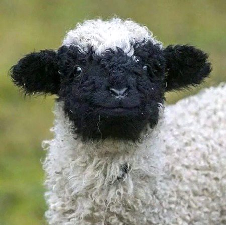 Beautiful Nature image