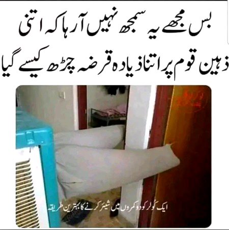 Memes & Satire image