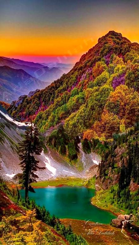 Beautiful Nature image