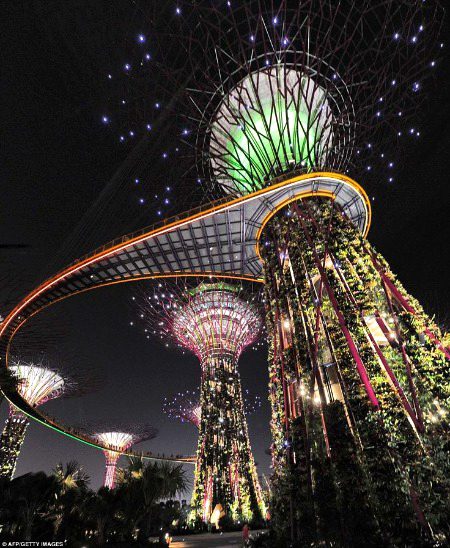 Beautiful Structures image