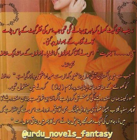 Romantic Novels image