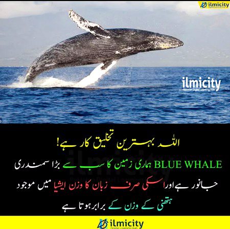 Interesting Posts image