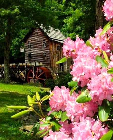 Beautiful Nature image