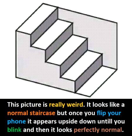 ,,,,,,