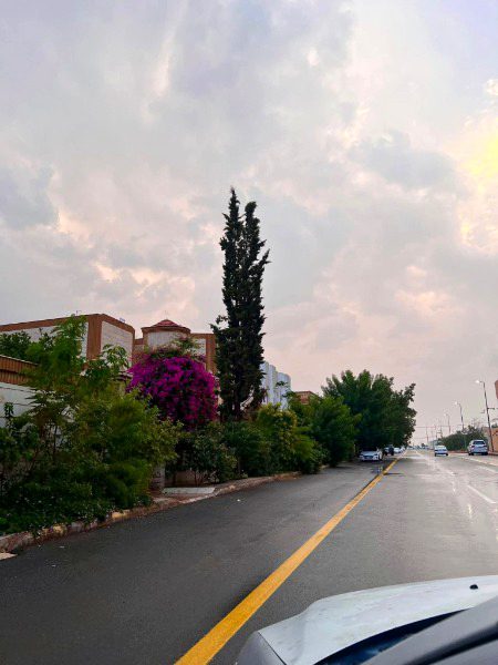 Beautiful Nature image