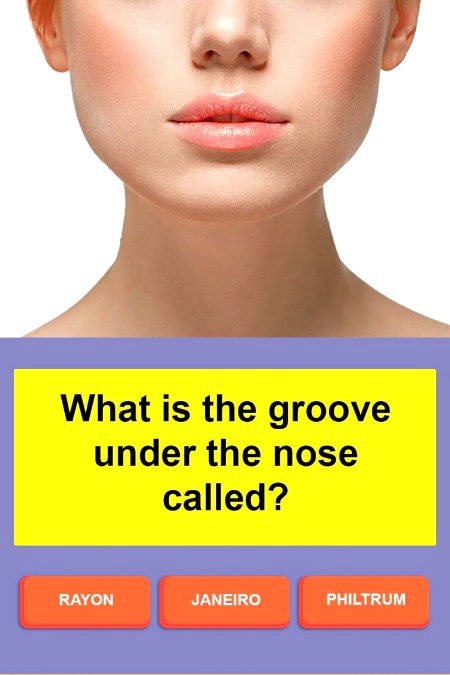 Knowledge Test image