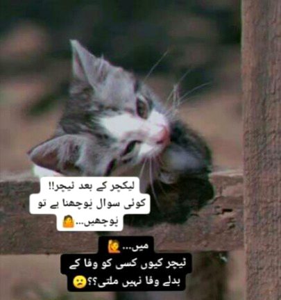 😀😀😀😍😍😍😊😊