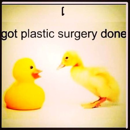 Memes & Satire image