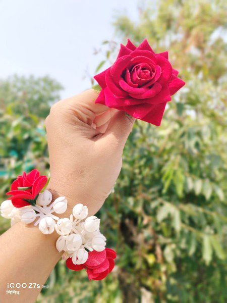 Beautiful Nature image