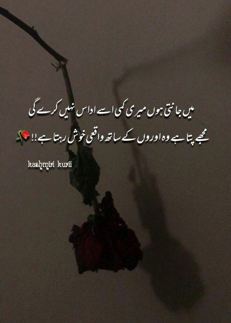 Sad Poetry image