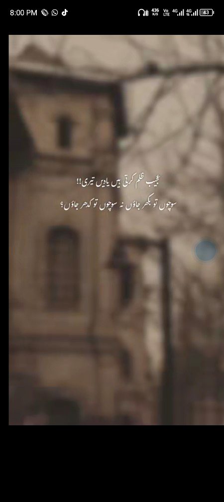 💐🌹❤️🌹🌹🌹🌹🌹❤️🌹💐